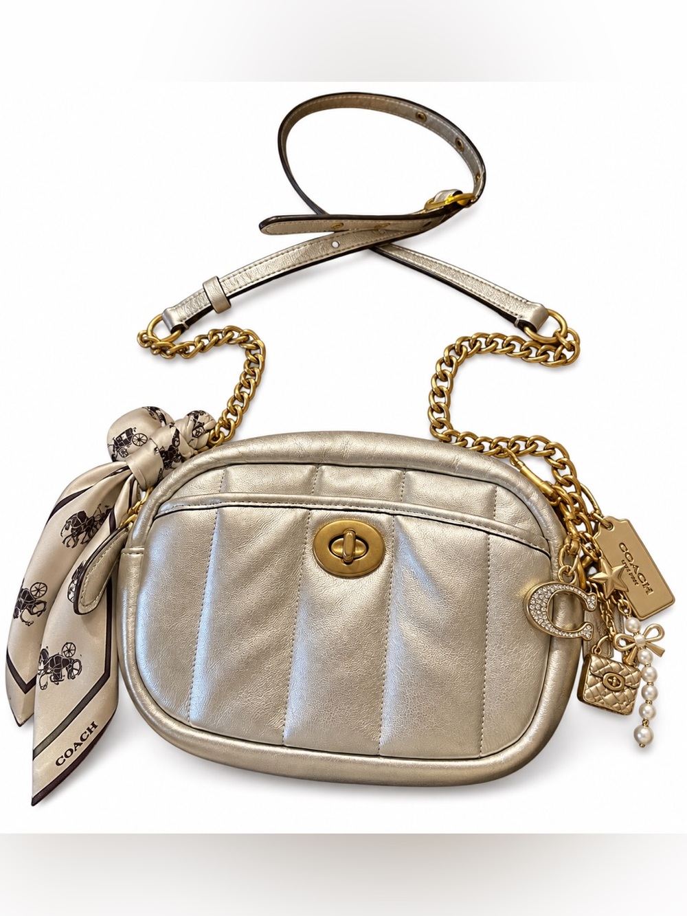 💗 COACH Metallic Silver Leather Camera Bag Purse
